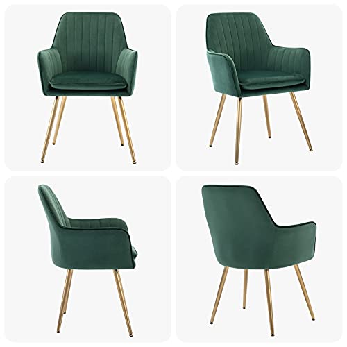 ceedment Modern Living Dining Room Accent Arm Chairs Club Guest with Gold Metal Legs (2, Green)