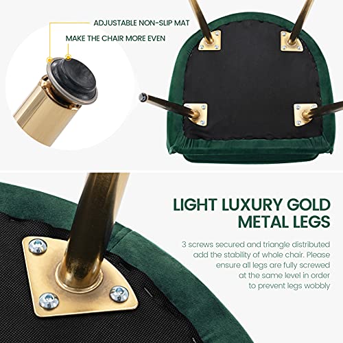 ceedment Modern Living Dining Room Accent Arm Chairs Club Guest with Gold Metal Legs (2, Green)
