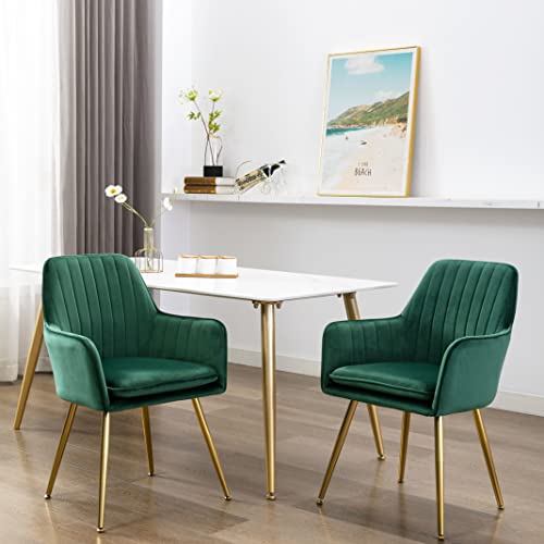 ceedment Modern Living Dining Room Accent Arm Chairs Club Guest with Gold Metal Legs (2, Green)