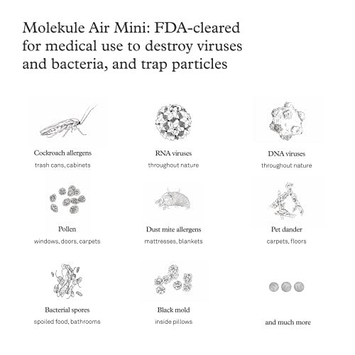 Molekule Air Mini - FDA-Cleared Medical Air Purifier with PECO Technology for Allergens, Pollutants, Viruses, Bacteria, and Mold, White