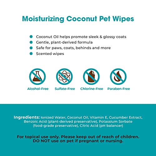 Best Pet Supplies Coconut-Scented Moisturizing Pet Wipes for Dogs & Cats – Extra Soft & Strong Grooming Wipes with Gentle Plant-Derived Formula, Model Number: WW-CO-100 Count (Pack of 1)