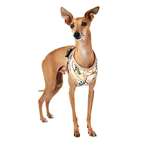 Puppia Botanical Harness A - Beige - S