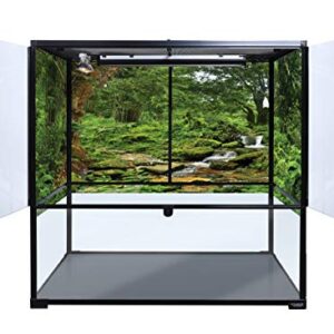 Reptile Habitat Background; Rain Forest with Stream, for Bio Deep 36Lx18Wx36H Terrarium, 3-Sided Wraparound