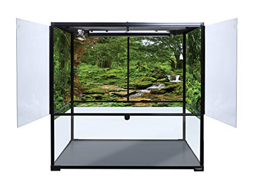 Reptile Habitat Background; Rain Forest with Stream, for Bio Deep 36Lx18Wx36H Terrarium, 3-Sided Wraparound