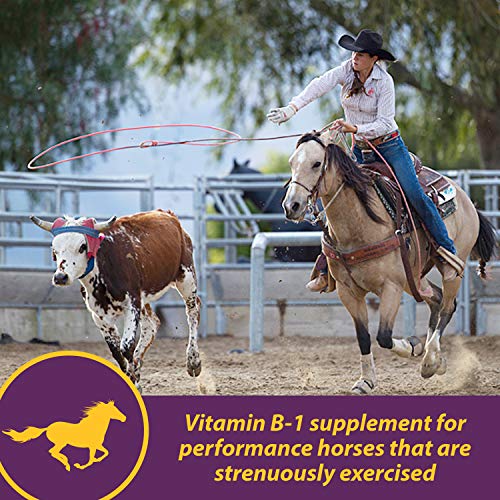 Horse Health Vita B-1 Crumbles Supplement for Horses, Supports Optimal Muscle Activity and Metabolism for Performance, 3 pounds, 48 Day Supply