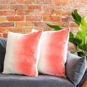 refinery29 | ombré collection | luxury decorative textured throw pillows, ultra soft with stylish modern chic design for home décor (pillow, coral)