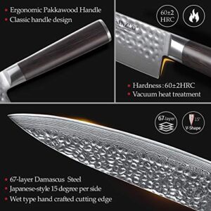 XINZUO 7PC Damascus Steel Kitchen Knife Set with Acacia Wood Block,Multifunctional Kitchen Scissors,Professional Sharp Chef Knife Forged Vegetable Knife with Pakkawood Handle- He Series