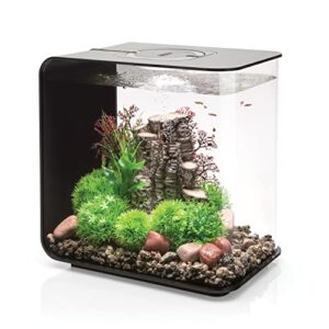 flow 30 aquarium with standard light - 8 gallon, black
