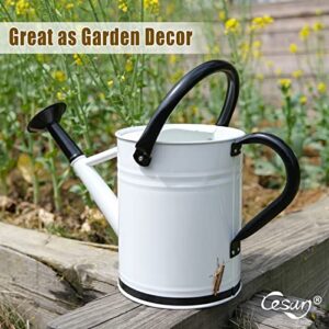 Cesun 1 Gallon Galvanized Metal Watering Can for Outdoor Plants (White and Black) – Decorative Farmhouse Style Watering Pot with Removable Spout - Perfect for Outdoor Use