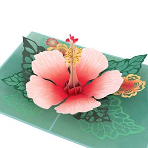 lovepop hibiscus bloom pop up card, 5x7-3d greeting card, pop up paper flower card, mother's day pop up card, card for mom, wife or friend, pop up anniversary card, thinking of you