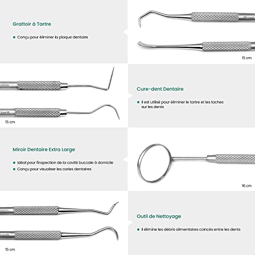 Dental Tools by Blizzard - Plaque Tartar Remover for Teeth - Professional Dental Hygiene Cleaning Kit 4-Pcs, German Stainless Steel Oral Care Set with Dental Pick, Mouth Mirror, Travel Case