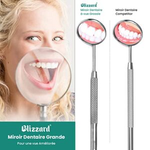 Dental Tools by Blizzard - Plaque Tartar Remover for Teeth - Professional Dental Hygiene Cleaning Kit 4-Pcs, German Stainless Steel Oral Care Set with Dental Pick, Mouth Mirror, Travel Case