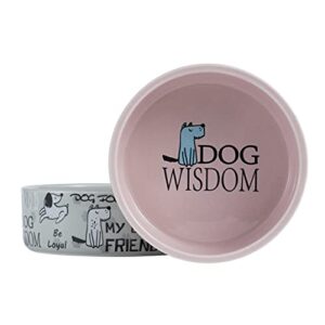 5-inch Ceramic Dog Bowl Cartoon Pattern, Cute, Chew-Proof, Dishwasher and Microwave Safe