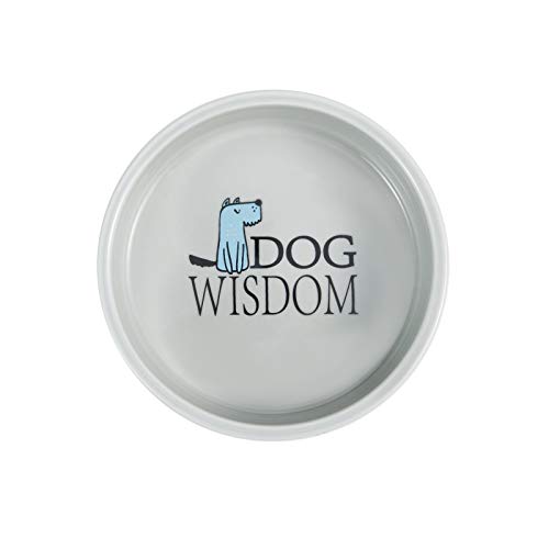 5-inch Ceramic Dog Bowl Cartoon Pattern, Cute, Chew-Proof, Dishwasher and Microwave Safe