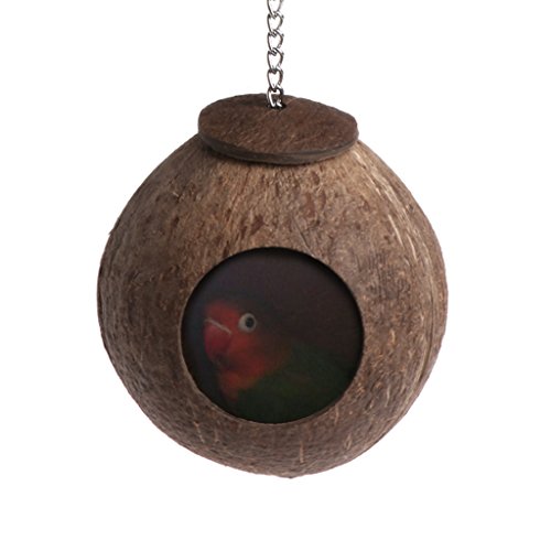 Dft Natural Coconut Shell Bird Nest House Hut Cage Feeder Toy for Pet Parrot Parakeetatiel