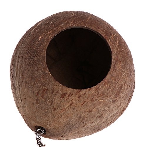 Dft Natural Coconut Shell Bird Nest House Hut Cage Feeder Toy for Pet Parrot Parakeetatiel