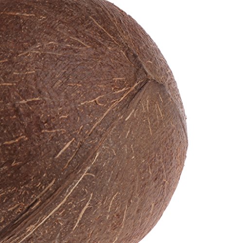 Dft Natural Coconut Shell Bird Nest House Hut Cage Feeder Toy for Pet Parrot Parakeetatiel