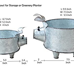 ShabbyDecor Galvanized Metal Pig Bowl Farmhouse Pig Succulent Planter Set of 2