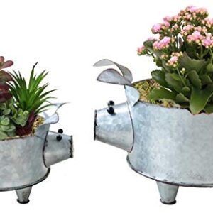 ShabbyDecor Galvanized Metal Pig Bowl Farmhouse Pig Succulent Planter Set of 2