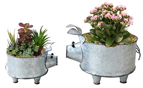 ShabbyDecor Galvanized Metal Pig Bowl Farmhouse Pig Succulent Planter Set of 2