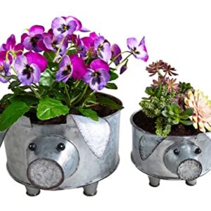 ShabbyDecor Galvanized Metal Pig Bowl Farmhouse Pig Succulent Planter Set of 2