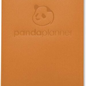 Sticky Notes Spring Colors by Panda Planner - Bookmark, Prioritize and Set Goals with Color Coding - 60 Ruled Lined Notes (4x6"), 40 Dotted Notes (3x4"), 40 Blank Notes (2.7x4.2") - 140 Total Tab