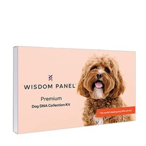 wisdom panel premium: most comprehensive dog dna test for 200+ health tests | accurate breed id and ancestry | traits | relatives | genetic diversity | vet consult | 1 pack