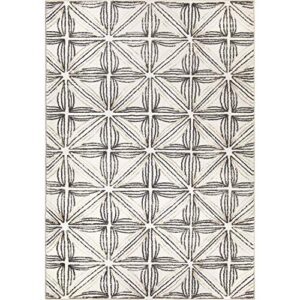 My Texas House Illussions Agave Natural Gray Indoor Area Rug, 7'10" x 10'10"