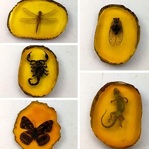 Garneck Amber Fossil Insect,Artificial Amber Insect Specimen Pendant Butterfly Scorpions Insects Amber Stone Ornament for Collection(Gecko)