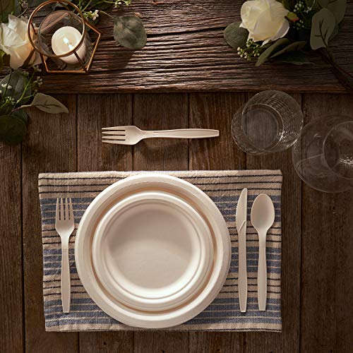 BIRCHIO 250 Piece Biodegradable Paper Plates Set (EXTRA LONG UTENSILS), Disposable Dinnerware Set, Eco Friendly Compostable Plates & Utensil include Plates, Forks, Knives and Spoons for Party