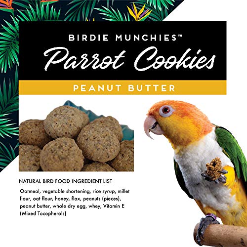 Oven Fresh Bites Baked Birdie Munchies Peanut Butter Treats, 4 oz.