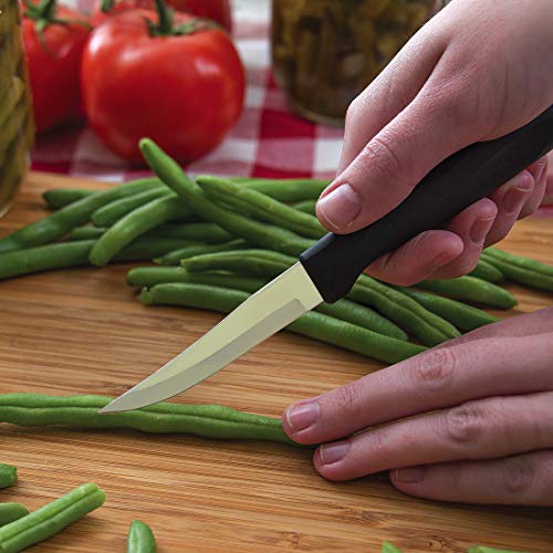 Rada Cutlery Anthem Series Heavy Duty Paring Knife Stainless Steel Blade with Ergonomic Black Resin Handle, 7-3/8 Inches