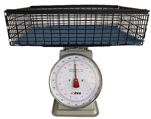 20-Pound Scale with All Things Bunnies Large Wire Basket