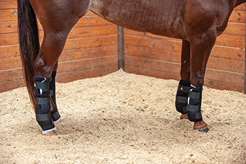 Classic Equine Quick Wraps, Medium