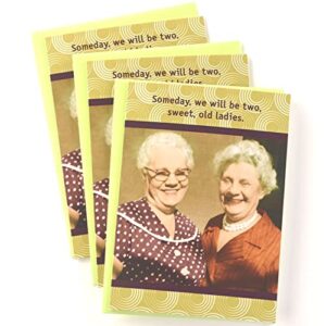 shade tree greetings funny women's birthday greeting card (5" x 7") by actual pictures | 3 pack + 3 envelopes (two old ladies)