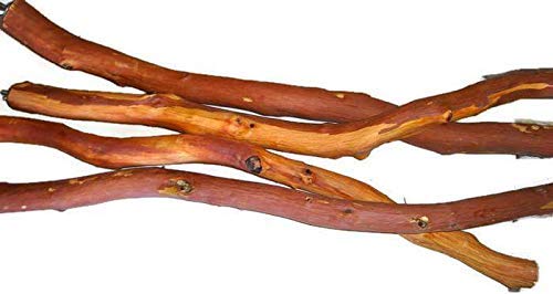 Manzanita Perches Set of Two 36" Three Feet Long