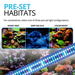 Fluval Sea Marine 3.0 LED Aquarium Lighting for Coral Growth, 22 Watts, 15-24 Inches