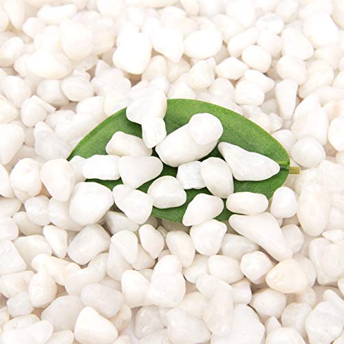 [18 Pounds] White Pebbles Aquarium Gravel River Rock,Natural Polished Decorative Gravel,Garden Ornamental Pebbles Rocks,White Stones,Polished Gravel for Landscaping Vase Fillers White Mini (White)