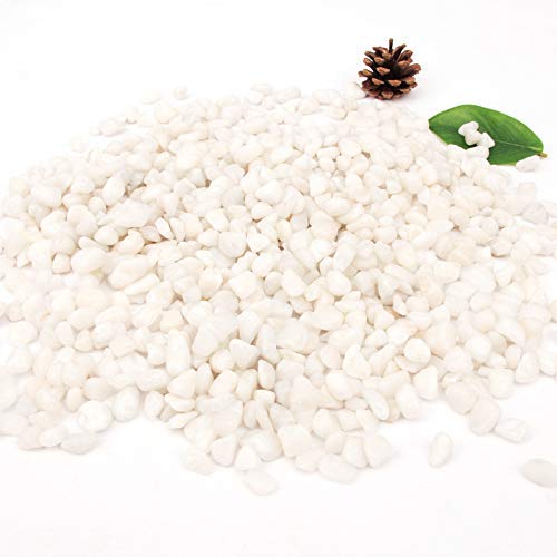 [18 Pounds] White Pebbles Aquarium Gravel River Rock,Natural Polished Decorative Gravel,Garden Ornamental Pebbles Rocks,White Stones,Polished Gravel for Landscaping Vase Fillers White Mini (White)