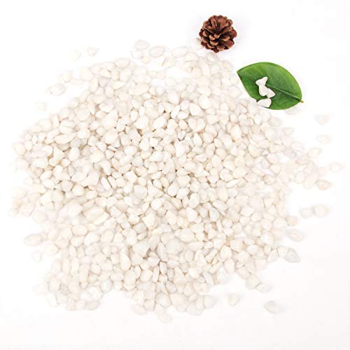 [18 Pounds] White Pebbles Aquarium Gravel River Rock,Natural Polished Decorative Gravel,Garden Ornamental Pebbles Rocks,White Stones,Polished Gravel for Landscaping Vase Fillers White Mini (White)