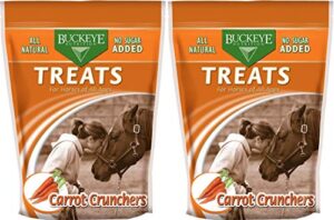 buckeye nutrition 2 pack of carrot crunchers horse treats, 4 pounds each, all natural, no sugar added