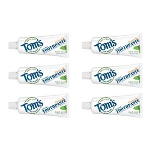 tom's of maine travel size anticavity fresh mint toothpaste, 3 oz. 6-pack (packaging may vary)