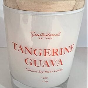 Natural Coconut + Beeswax Scented Candle Tangerine Guava White Jar with Orange Text, 11 Oz.