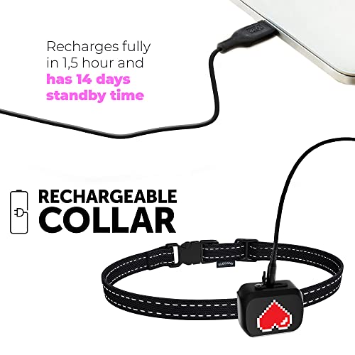 Small Dog Bark Collar Rechargeable - Anti Barking Collar for Small Dogs - Smallest Most Humane Stop Barking Collar - Dog Training No Shock Bark Collar Waterproof - Safe Pet Bark Control Device