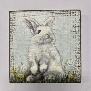 Primitives by Kathy Home Décor Sign With a Bunny in Dandelions: perfect for home, office, housewarming, gift,6" x 6" x 1"