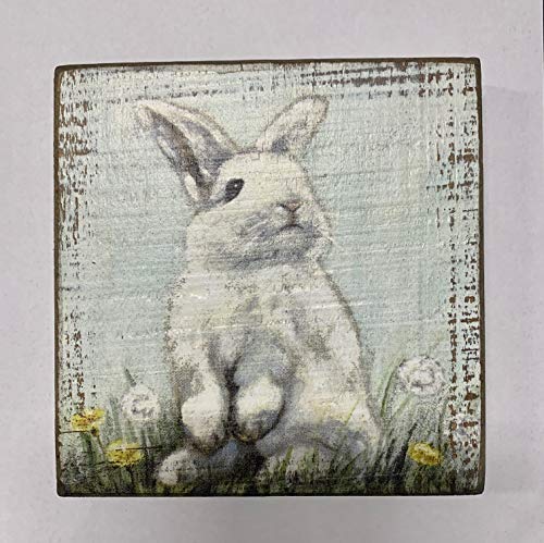 Primitives by Kathy Home Décor Sign With a Bunny in Dandelions: perfect for home, office, housewarming, gift,6" x 6" x 1"