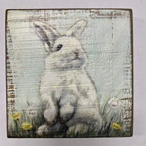 Primitives by Kathy Home Décor Sign With a Bunny in Dandelions: perfect for home, office, housewarming, gift,6" x 6" x 1"