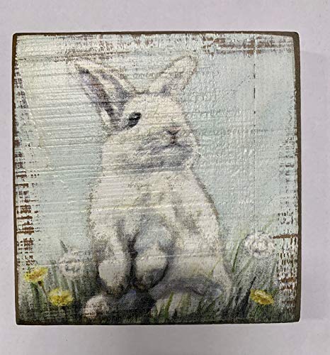 Primitives by Kathy Home Décor Sign With a Bunny in Dandelions: perfect for home, office, housewarming, gift,6" x 6" x 1"