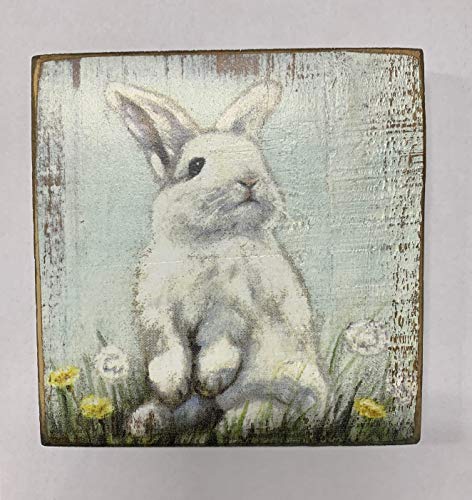 Primitives by Kathy Home Décor Sign With a Bunny in Dandelions: perfect for home, office, housewarming, gift,6" x 6" x 1"