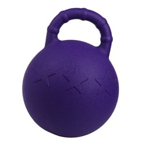 Injoyo 28cm Equine Sports Rubber Jolly Ball Scented Horse Play Toy with Handle - Purple